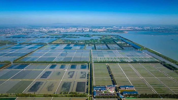 航拍高淳固城湖螃蟹核心區(qū)。高淳區(qū)融媒體中心供圖
